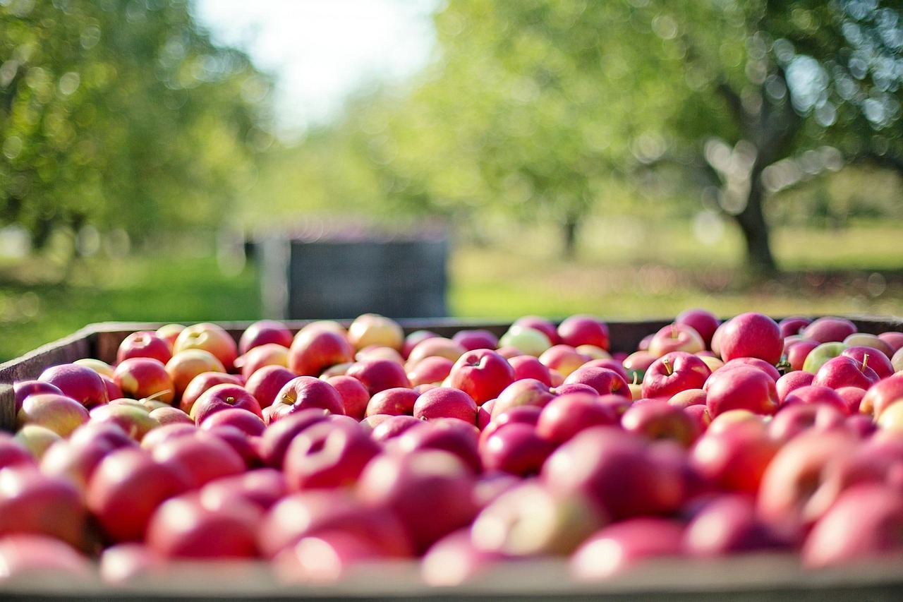 Featured image of post Apple Doubles Bug Bounty Program to $2 Million, Setting Industry Record for Zero-Click Exploit Discovery